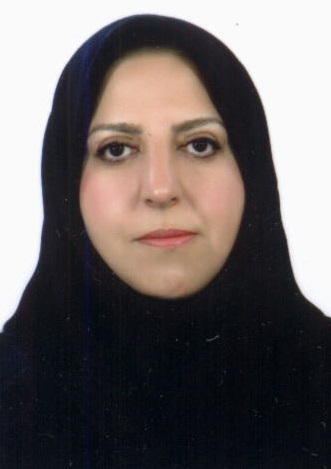 Nassir Zadeh Farzaneh