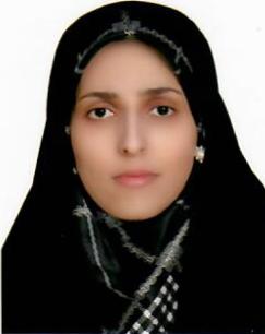 Zahra Shekarchizadeh 